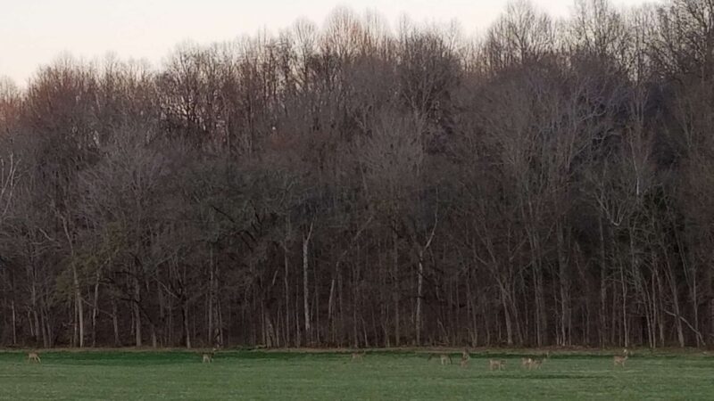 Dugas Community Park - Scottsville, KY