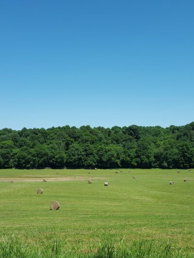 Dugas Community Park - Scottsville, KY