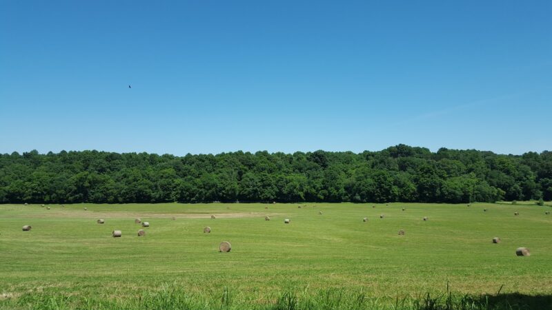 Dugas Community Park - Scottsville, KY