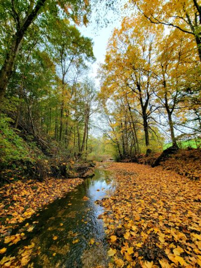 Dumont Hill At Dugas Community Park - Scottsville, KY