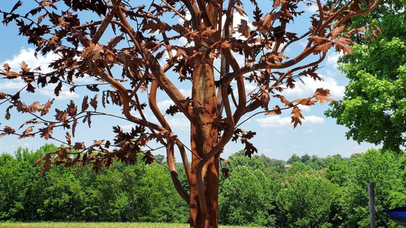 Dumont Hill At Dugas Community Park - Scottsville, KY