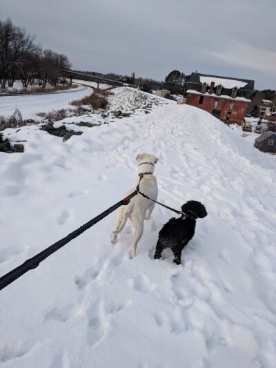 Levee Walk - Scottsville, VA