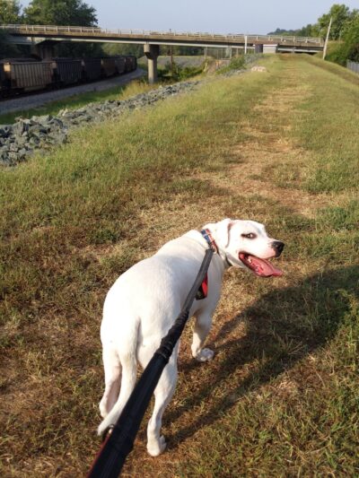 Levee Walk - Scottsville, VA