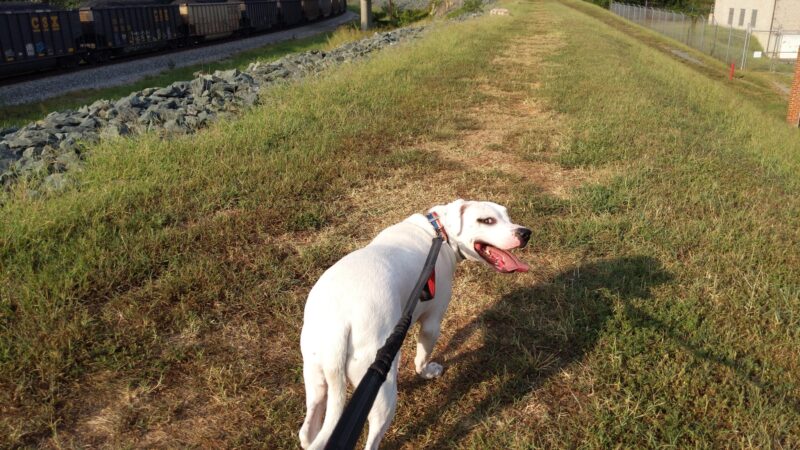 Levee Walk - Scottsville, VA