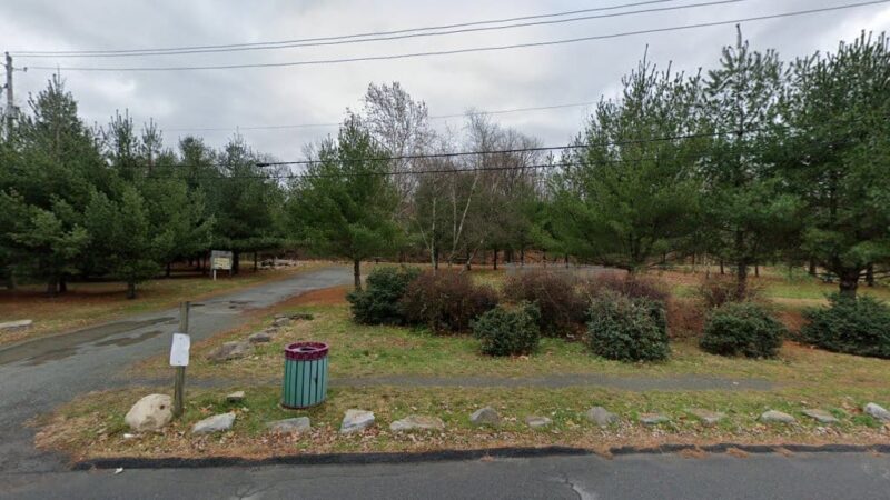 Darcy Park - Scranton, PA