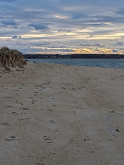 Harborside Dunes - Seabrook, NH