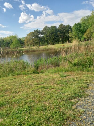 Woodland Park - Seaford, DE