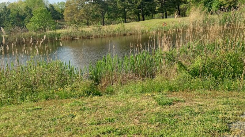 Woodland Park - Seaford, DE