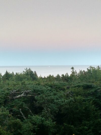 Mt Desert Land & Garden Preserve - Seal Harbor, ME