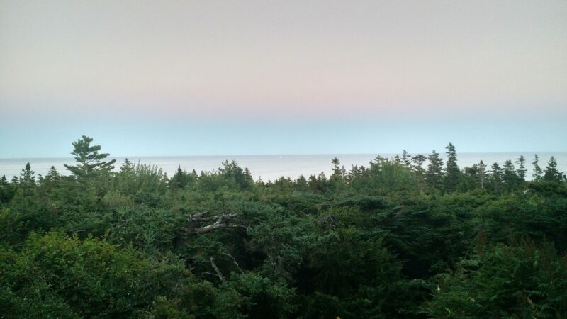 Mt Desert Land & Garden Preserve - Seal Harbor, ME