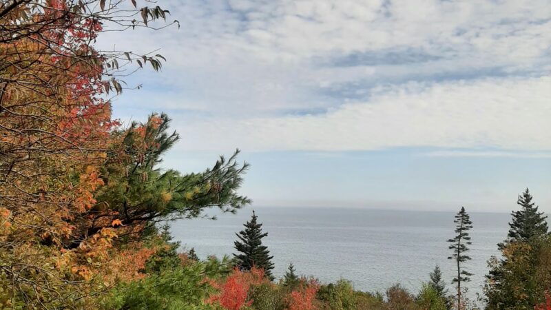 Mt Desert Land & Garden Preserve - Seal Harbor, ME