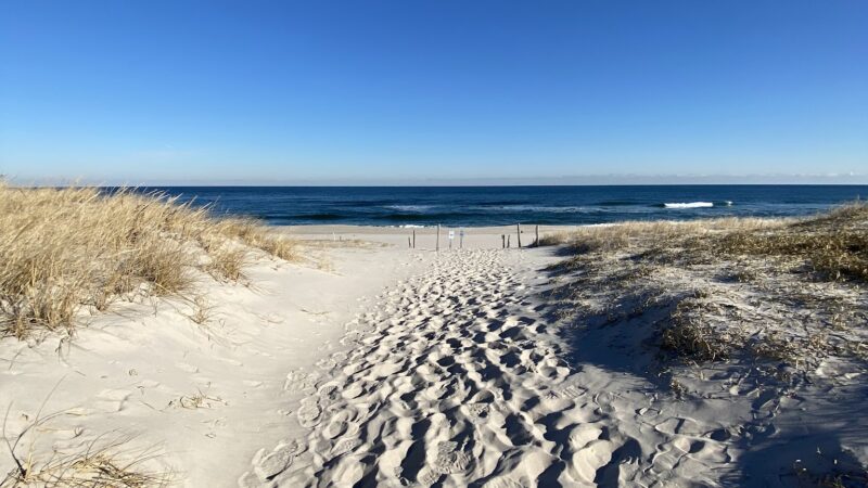 Island Beach State Park - Seaside Park, NJ