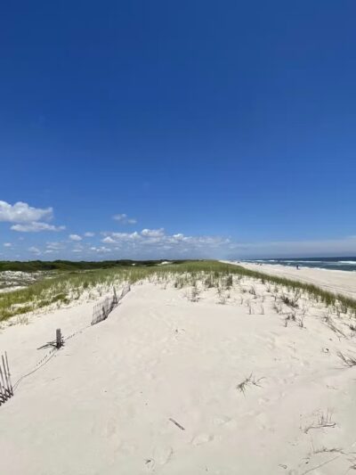Island Beach State Park - Seaside Park, NJ