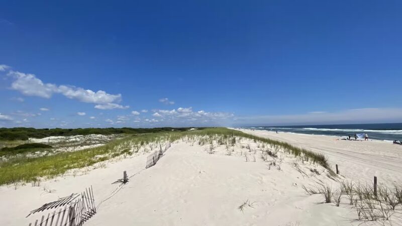 Island Beach State Park - Seaside Park, NJ