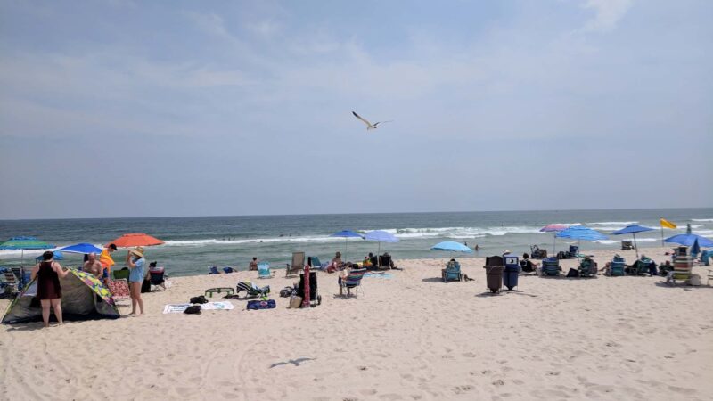Seaside Park Beach & Lifeguard - Seaside Park, NJ