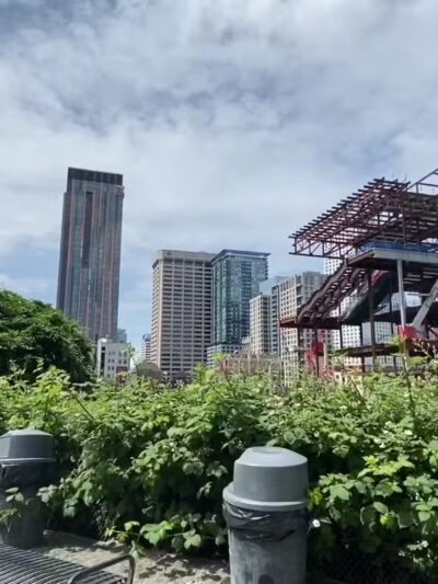 Plymouth Pillars Dog Park - Seattle, WA