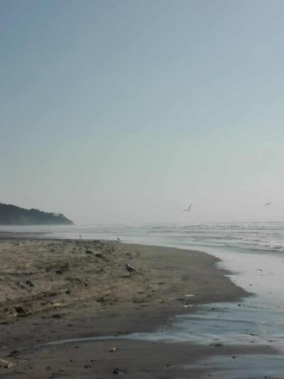 Seaview Trailhead - Seaview, WA