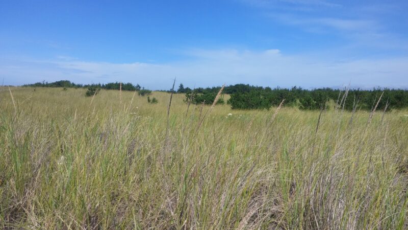 Seaview Trailhead - Seaview, WA