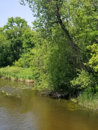 Sebeka City Park - Sebeka, MN