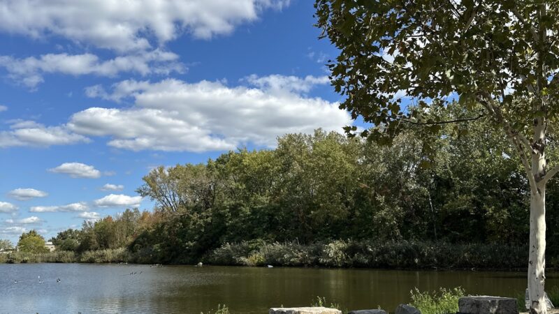 Duck Pond Park - Fishing Place - Secaucus, NJ