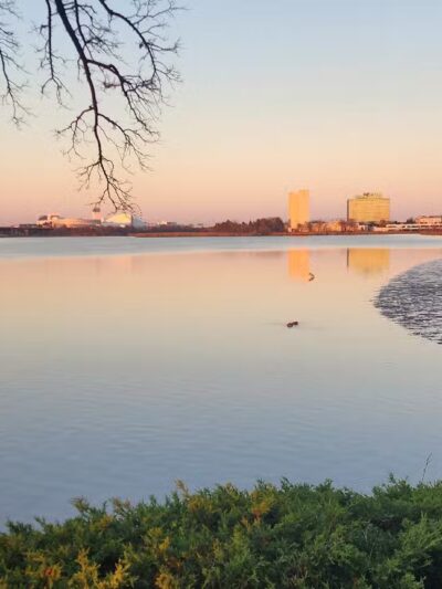 Harmon Cove Towers - Secaucus, NJ