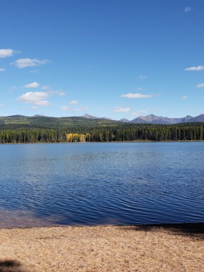 Seeley Lake Game Preserve - Seeley Lake, MT