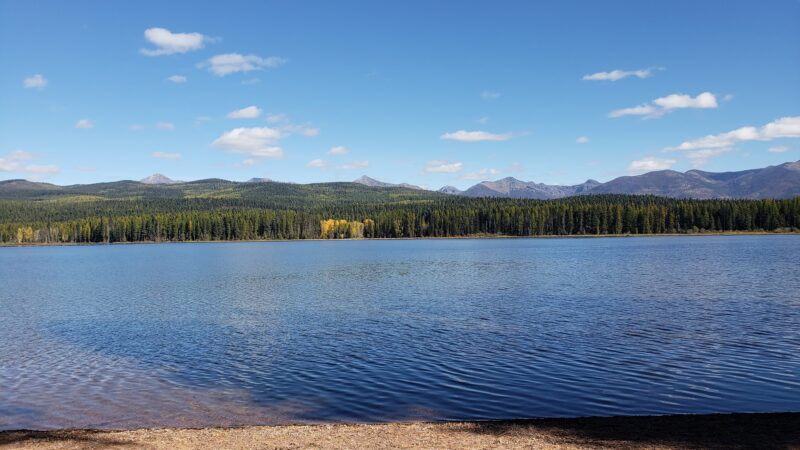 Seeley Lake Game Preserve - Seeley Lake, MT