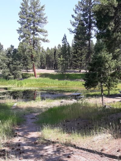 Seeley Lake Lions Club Park - Seeley Lake, MT