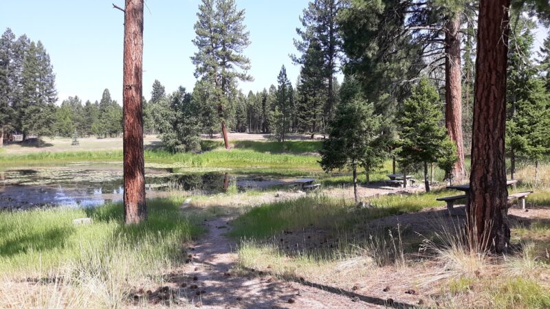 Seeley Lake Lions Club Park - Seeley Lake, MT