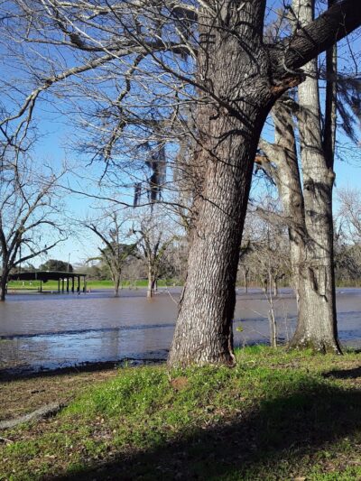 Bloch Park - Selma, AL