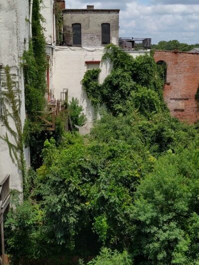 Selma - Selma, AL