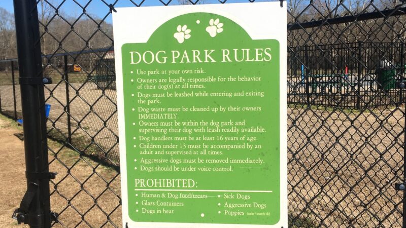 Dixie Park Splash Pad and Dog Park - Selmer, TN