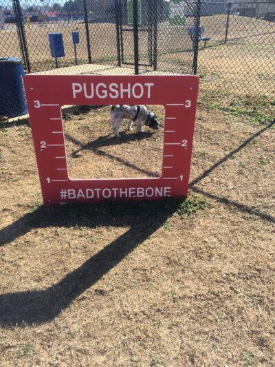 Dixie Park Splash Pad and Dog Park - Selmer, TN