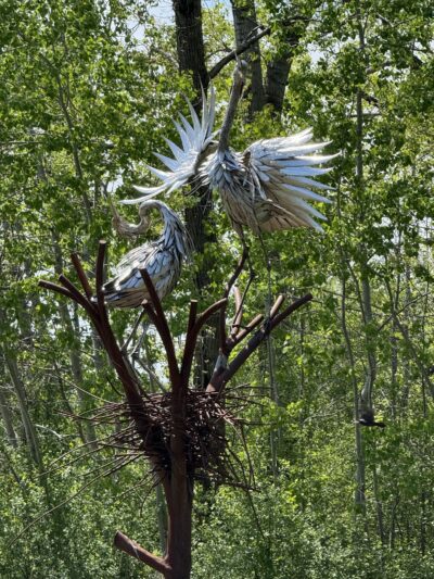 Montezuma National Wildlife Refuge - Seneca Falls, NY