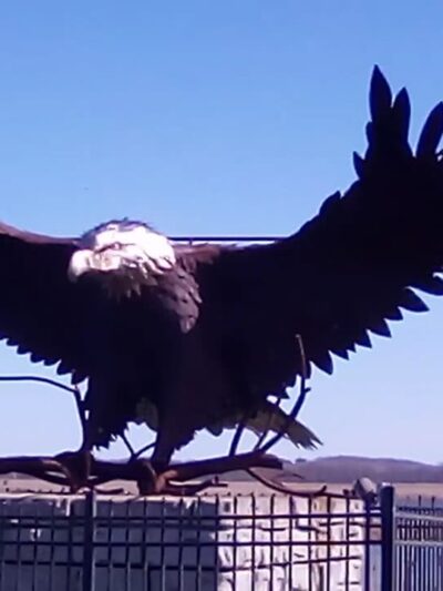 Montezuma National Wildlife Refuge - Seneca Falls, NY