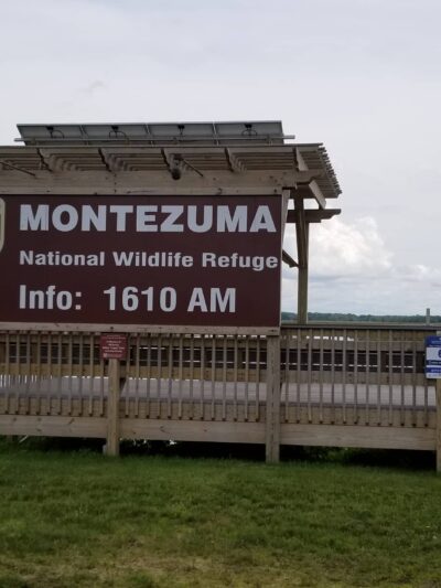 Montezuma National Wildlife Refuge - Seneca Falls, NY