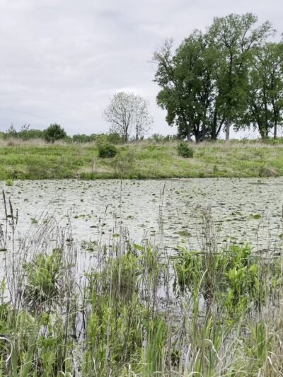 Seneca Meadows Wetlands Preserve - Seneca Falls, NY