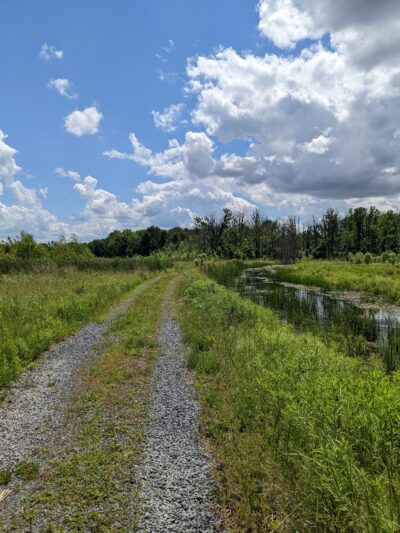 Seneca Meadows Wetlands Preserve - Seneca Falls, NY