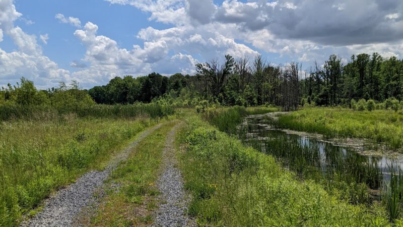 Seneca Meadows Wetlands Preserve - Seneca Falls, NY