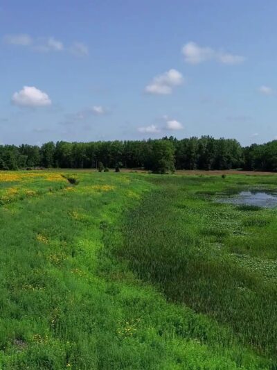 Seneca Meadows Wetlands Preserve - Seneca Falls, NY