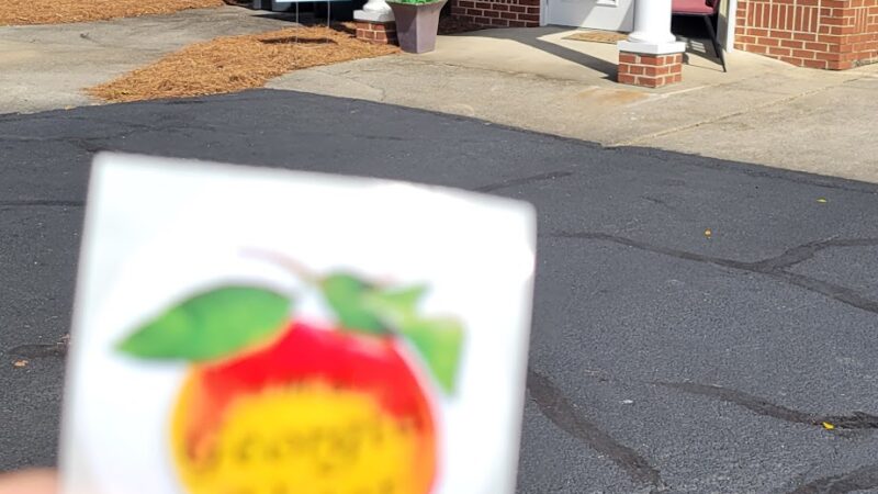 Haralson Park - Senoia, GA