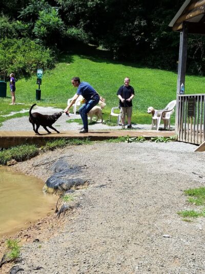 Misty Pines Dog Park Co - Sewickley, PA