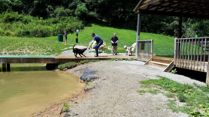 Misty Pines Dog Park Co - Sewickley, PA