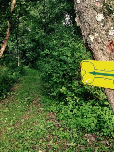 Misty Pines Dog Park Co - Sewickley, PA