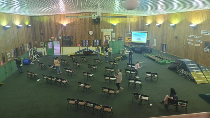 Misty Pines Dog Park Co - Sewickley, PA