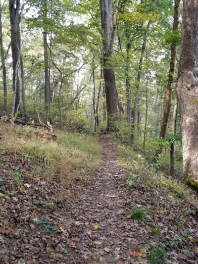 Polo Field - Sewickley, PA