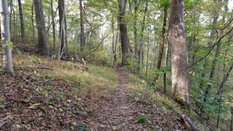 Polo Field - Sewickley, PA