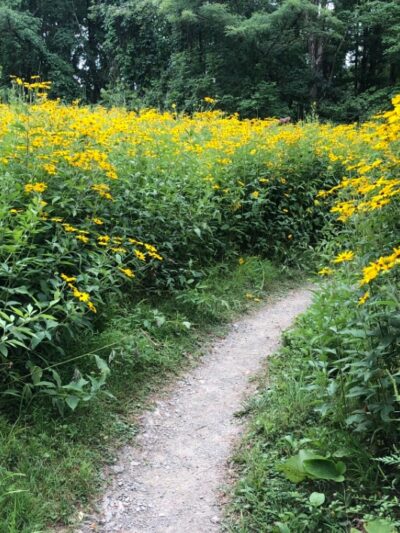 Sewickley Heights Borough Park - Sewickley, PA