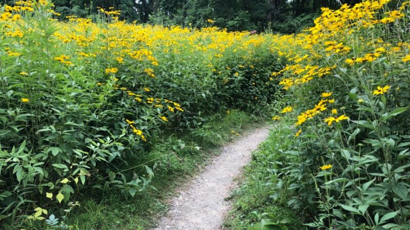 Sewickley Heights Borough Park - Sewickley, PA