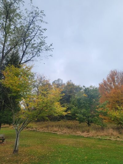 Sewickley Heights Borough Park - Sewickley, PA